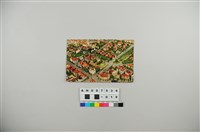 藏品(日治明信片：青島市街景觀鳥瞰)的圖片